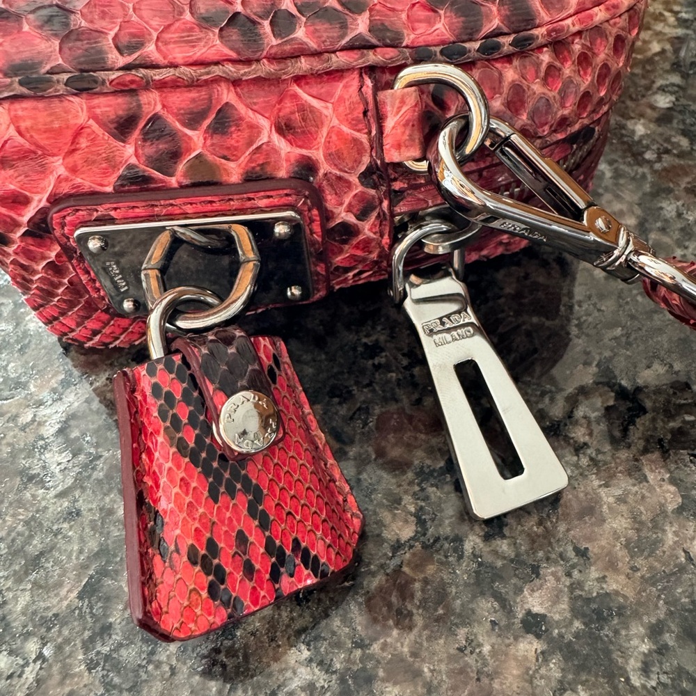 Prada Python Crossbody Bag - Picture 4 of 13